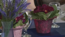 Krónika: A Rákosmenti Aranykor Nyugdíjas Klub nőnapi ünnepsége (2026.03.18.)