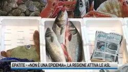 Epatite. «Non è una epidemia», la Regione attiva le Asl Epatite. «Non è una epidemia», la Regione attiva le Asl