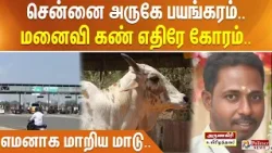 சென்னை அருகே பயங்கரம்.. மனைவி கண் எதிரே கோரம்.. எமனாக மாறிய மாடு..