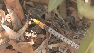 Syringes, Feces, and Threats: The Hell Neighbors Face Due to a Drug Den in San Blas