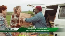 Новина плюс: Сектор БИО в Германия - как работи кооперирането? Новина плюс: Сектор БИО в Германия - как работи кооперирането?