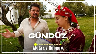 Gündüz Gece - Muğla / Bodrum | 8 Ağustos 2026