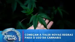 Cannabis: mudanças vão ampliar acesso a medicamentos | Jornal da Band