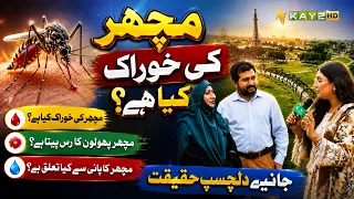 Machhar Ki Khoraak Kya Hai? Janiye Dilchasp Haqeeqat | Lahore Lahore E | Kay2TV