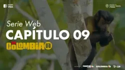 Vista Hermosa, Meta | Colombia, la serie web | Capítulo 9