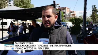 Αγωνία στον Έβρο για την διαμόρφωση της τιμής στην ελιά πριν την συγκομιδή