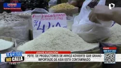 ¡Alerta! Arroz importado de Asía estaría contaminado con pulguilla