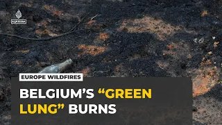 Belgium Burns as Silent Heatwave Deaths Soar
