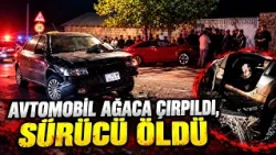 Two accidents on the same road in Shaki: Casualties reported | APA TV