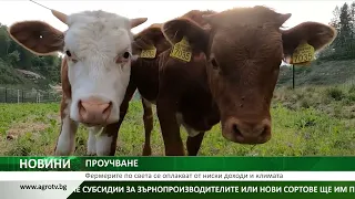 ПРОУЧВАНЕ: Фермерите по света се оплакват от ниски доходи и климата