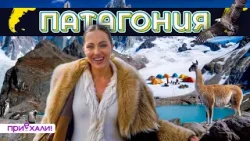 ПАТАГОНИЯ | Край земли, остров пингвинов и ледниковые ворота | Приехали! ПАТАГОНИЯ | Край земли, остров пингвинов и ледниковые ворота | Приехали!