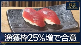 “海のダイヤ”値下がりに期待…クロマグロ漁獲枠25％増で合意　メキシコが一転支持【報道ステーション】(2026年8月18日)