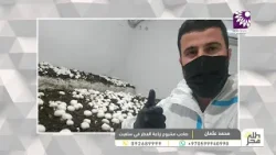شاب من بلدة بديا يزرع الفطر محليا رغم كل التحديات شاب من بلدة بديا يزرع الفطر محليا رغم كل التحديات