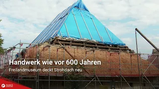 Craftsmanship like 600 years ago: Open-air museum re-thatches roof
