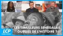 Les tirailleurs sénégalais, oubliés de l'histoire ? | Les débats de Débatdoc