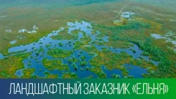 Yelnya Landscape Reserve | Ecology and Us