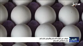 Taiz Residents Shun Chicken and Eggs Despite Price Drops