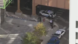 Person in critical condition after reported stabbing at CTA Green Line station
