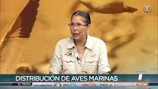 Audubon Society has recorded South American birds in Panama due to the El Niño phenomenon