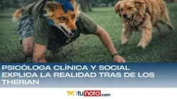 Psicóloga clínica y social explica la realidad tras de los Therian Psicóloga clínica y social explica la realidad tras de los Therian