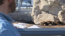 Lake Superior Zoo to host first ‘Light the Horizon’ event Thursday