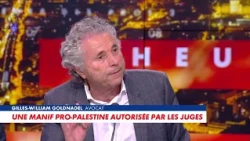 Gilles-William Goldnadel: "French Jews are not protected!"