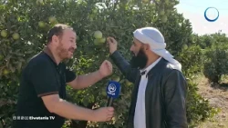 Watch: A farmer reveals the hidden truth and shocks Hocine Jijli... This is how some make quick p...