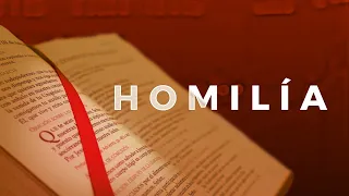 HOMILY AUGUST 22, 2026