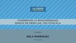 Conservar la biodiversidad: Banco de semillas, FES Iztacala. La UNAM responde 906