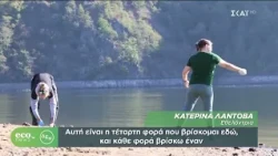 Eco News By ΔΕΗ | 10/10/2026