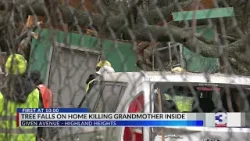 Grandmother fatally struck by falling tree during storm