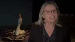 STEP INSIDE på ARoS STEP INSIDE på ARoS