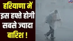 Haryana Weather Update: आने वाले 48 घंटे भारी, येलो अलर्ट जारी, कोहरा और शीतलहर फिर करेंगे वापसी। Haryana Weather Update: आने वाले 48 घंटे भारी, येलो अलर्ट जारी, कोहरा और शीतलहर फिर करेंगे वापसी।