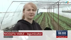 GERUL CREŞTE COSTURILE PENTRU LEGUMICULTORI