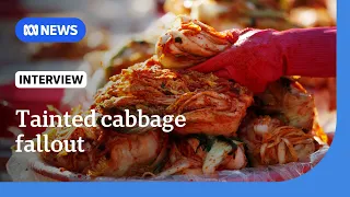 Kimchi-loving Koreans wary of cabbage from China after formaldehyde scandal | The World | ABC NEWS