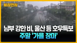 남부 강한 비, 울산 등 호우특보...주말 '가을 장마' [세상만사] #날씨 #가을장마 #강한비 #호우특보