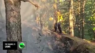 Top Channel/ Zjarri në kurorën e gjelbër të Pukës shuhet pas disa orësh, normalizohet situata