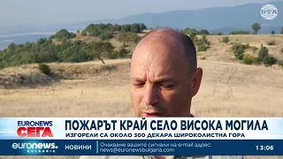 Изгорели са около 300 декара широколистна гора при пожара край село Висока могила