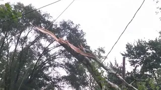 IBEW Local 9 provides an update on power outages after severe storms | ChicagoLIVE