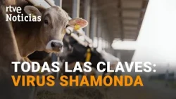 España, en alerta tras la muerte en Francia de una persona infectada por el virus shamonda | RTVE