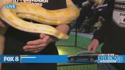 New Day Cleveland: JDM Fishing and Outdoor Show