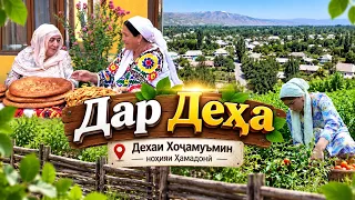 Дар Деҳа I Деҳаи Хоҷамуъмин I ноҳияи Ҳамадонӣ - 2026