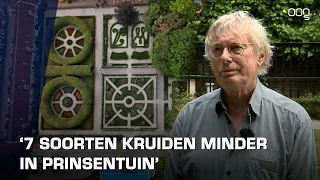 Aantal kruidenplanten in Prinsentuin neemt af