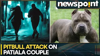 Viral CCTV Footage Shows Frenzied Pitbull Attack On Patiala Couple | WION News