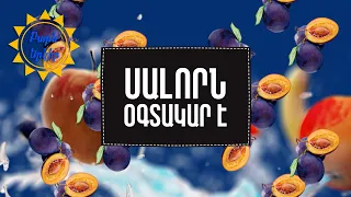 Երբ համեղը նաև «Օգտակար է». սալոր