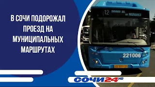 Public Transport Fares Increased in Sochi