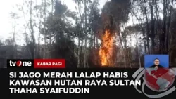 Kebakaran Sumur Minyak Ilegal, Kawasan Taman Hutan Raya Sultan Thaha Syaifuddin Kena Imbas | tvOne