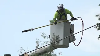 Thousands of people in Naugatuck left in dark after utility pole falls in heavy rain