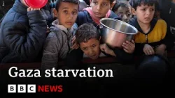 Evidence that Israel is using starvation as weapon of war in Gaza says UN  | BBC News