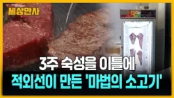 3주 숙성을 이틀에…적외선이 만든 '마법의 소고기' [세상만사] #적외선숙성장치 #소고기 #농진청